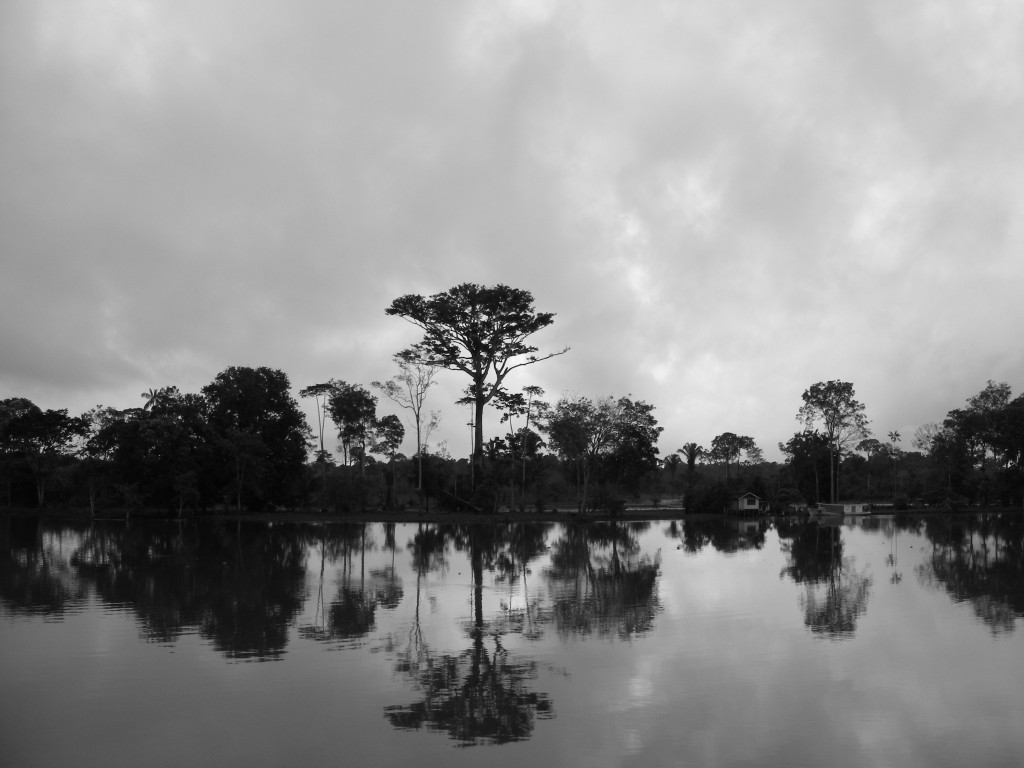 Luca Vivan, travel blogger, viaggio, Brasile, Amazzonia, Rio delle Amazzoni