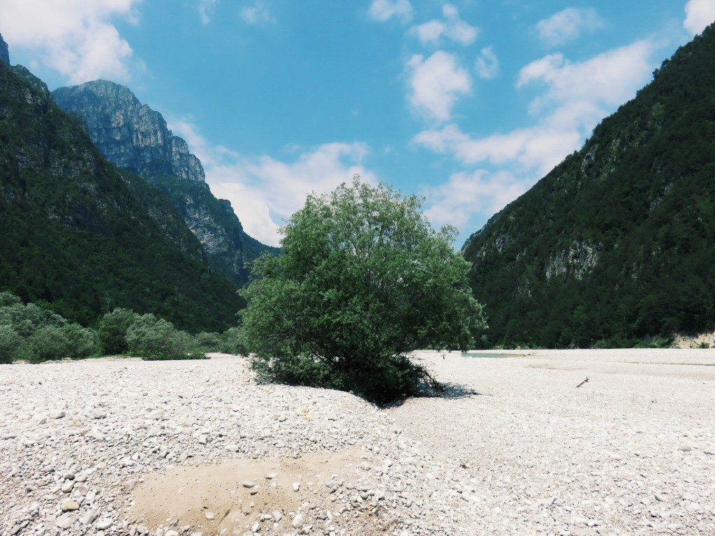 Luca Vivan, eco blogger, digital detox, vacanze, Val Cellina