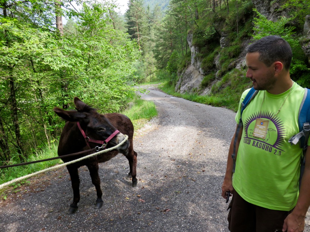 Luca Vivan, eco blogging, ciucoraduno, trekking Val Tramontina, asino, Pordenone, Friuli