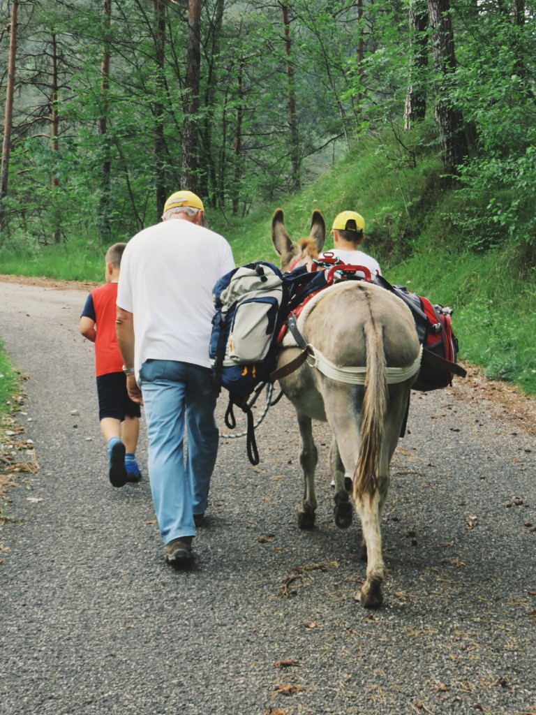 Luca Vivan, eco blogging, ciucoraduno, trekking, asini, Pordenone, Friuli