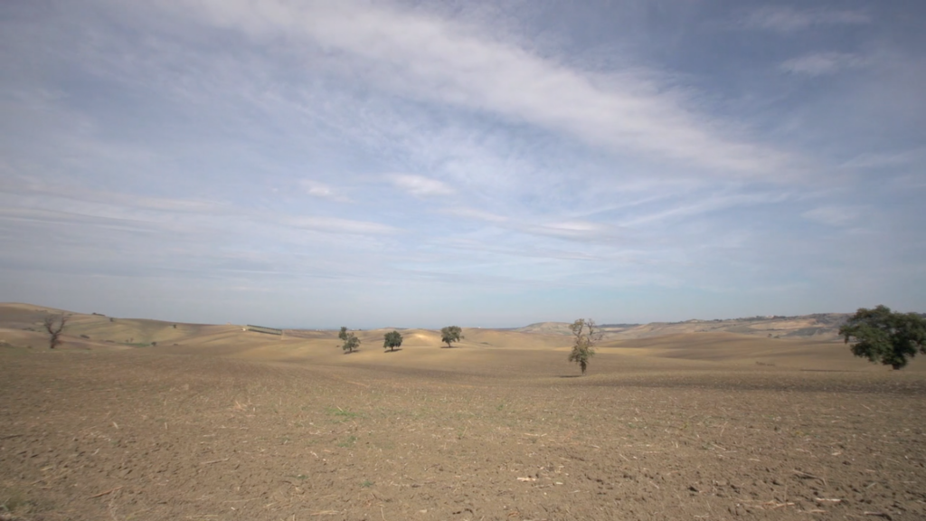 Luca Vivan, blogger, Roberto Zazzara, Transumanza, transhumance, tratturo, Meridione