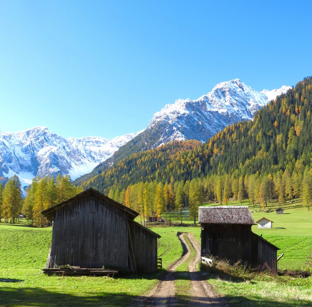 Luca Vivan, travel blogger, Val Pusteria, Val Fiscalina, foliage, Dolomiti, Sud Tirolo, Alto Adige, Parco naturale 3 Cime