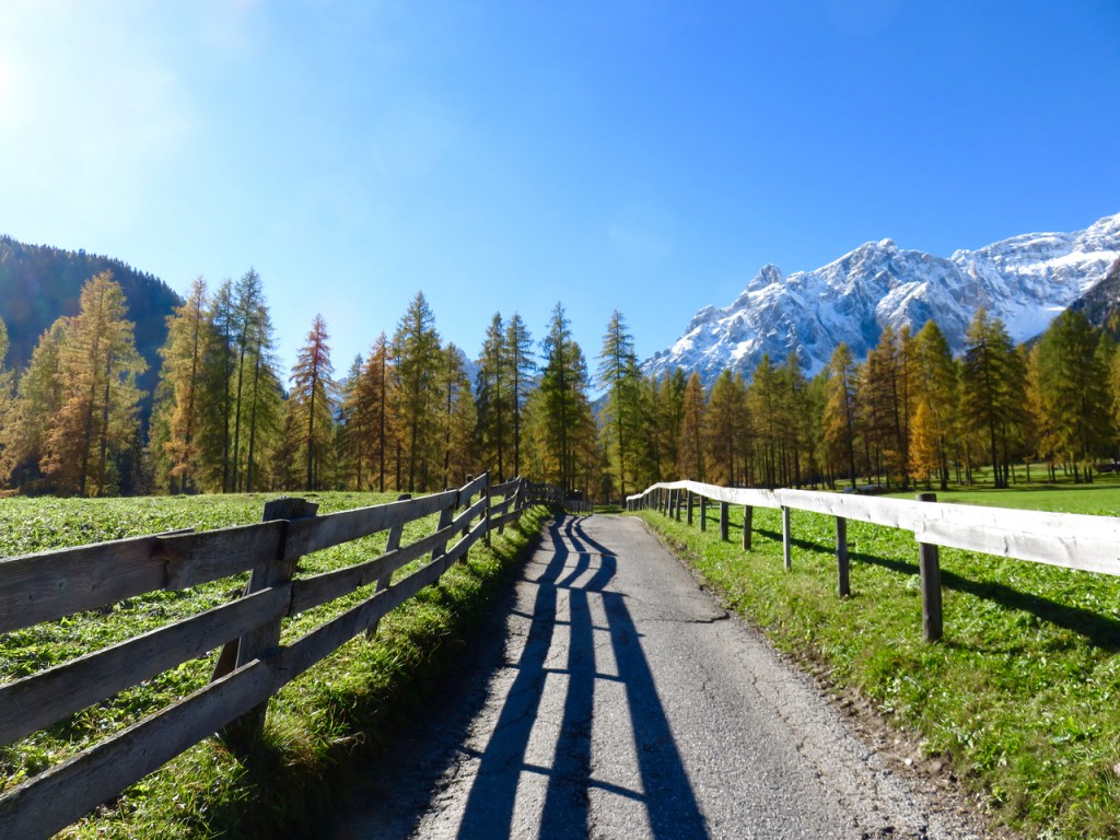 Luca Vivan, travel blogger, Val Pusteria, Val Fiscalina, foliage, Dolomiti, Sud Tirolo, Alto Adige, Parco naturale 3 Cime, sentiero