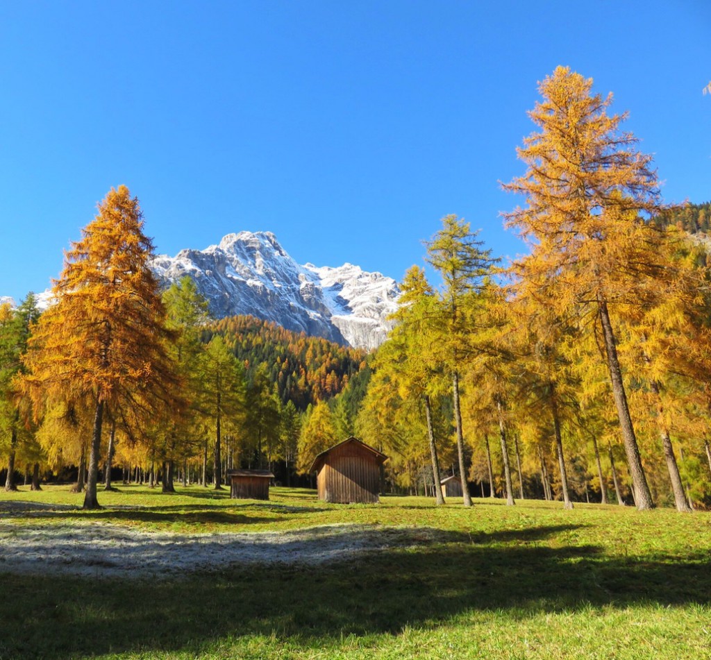 Luca Vivan, travel blogger, Val Pusteria, Val Fiscalina, foliage, Dolomiti, Sud Tirolo, Alto Adige, prati