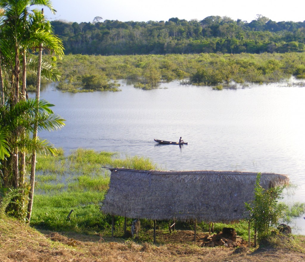 Luca Vivan, eco blogger, guaranà, Amazzonia, Brasile, Sateré-Mawé, Slow Food, Equo e Solidale, Rio delle Amazzoni, Manaus, indios, area indigena