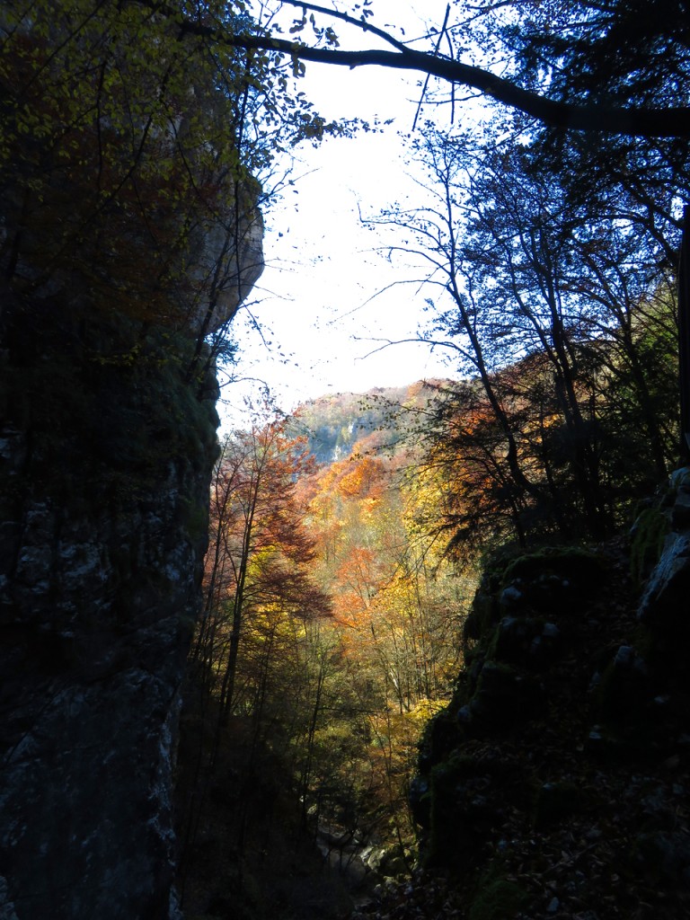  Luca Vivan, travel blogger, Francesca Zonta, Maniago, Val Cosa, Ecomuseo, Lis Aganis, Pordenone, Friuli, Pradis, grotta, canyon, faggeto