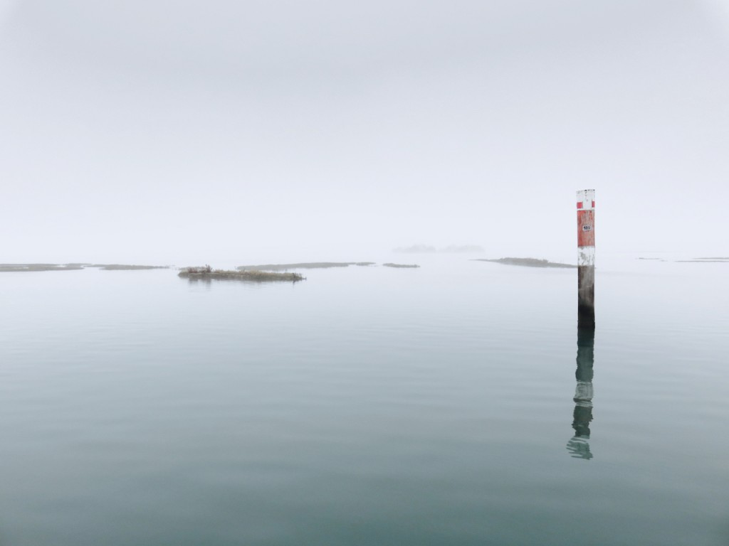  Luca Vivan, inverno a Grado, TBnet, Friuli, laguna di Grado, barene