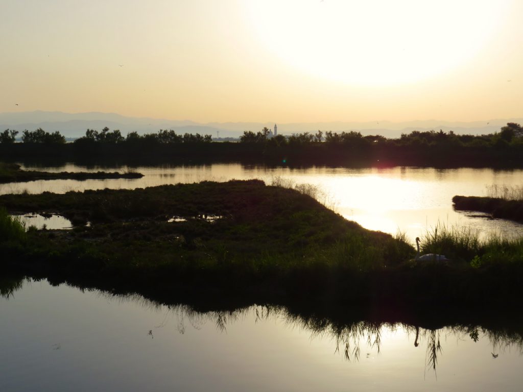 Grado, followGrado, TBnet, laguna di Grado, valle del Moro