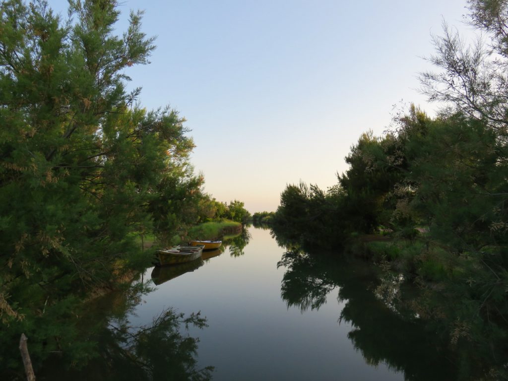 Grado, followGrado, TBnet, laguna di Grado, valle del Moro, alba