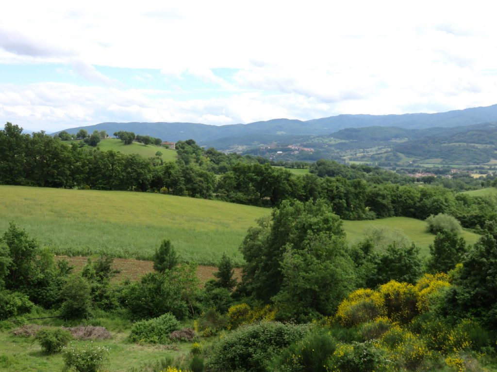  in Casentino, Toscana, Arezzo, fattoria di Selvoli, agricoltura omeodinamica