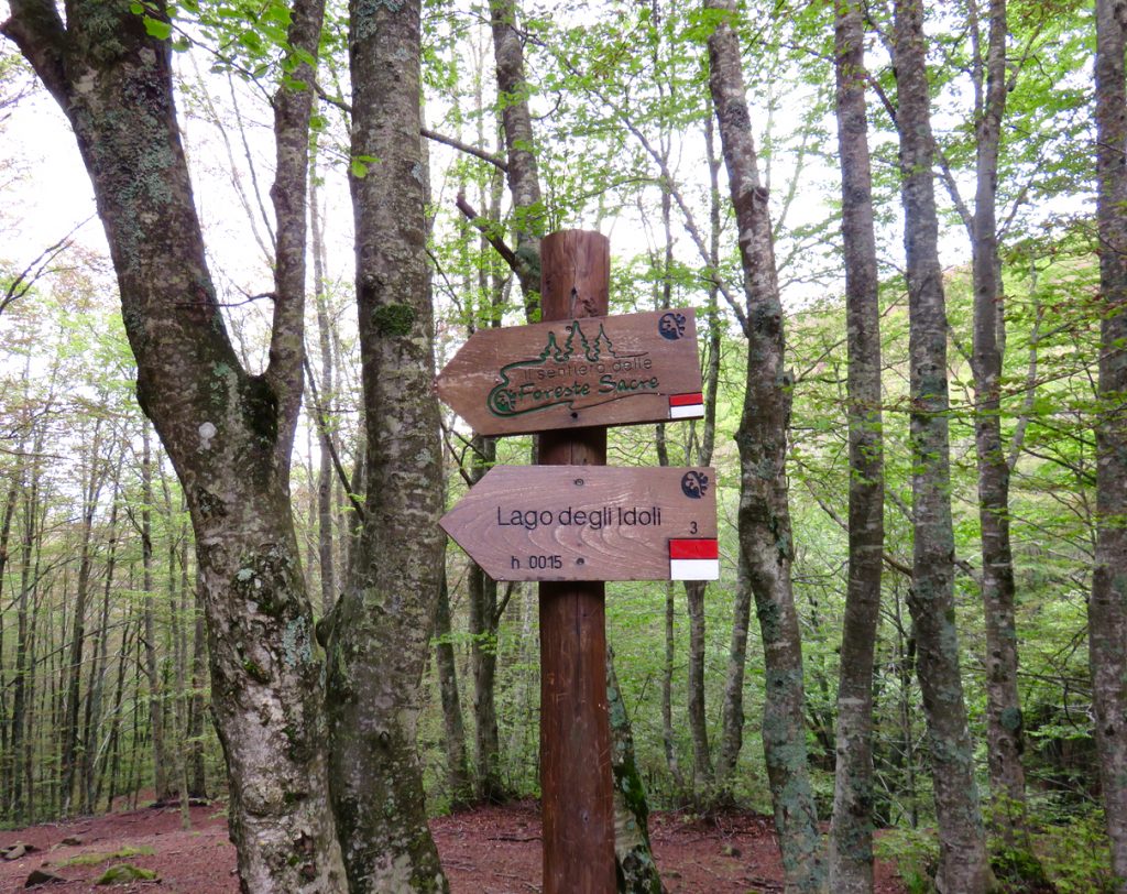 del Casentino, monte Falterona, sorgenti dell'Arno, Parco Foreste Casentinesi, foreste sacre Casentino, lago degli idoli, Arezzo, Toscana, amici di Dante Casentino