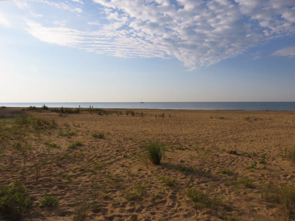 Blue Mind, Luca Vivan, Bibione