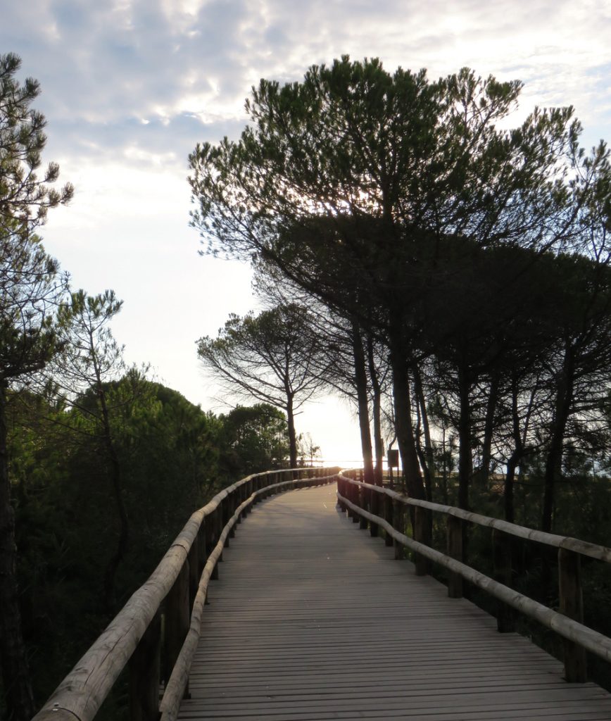 Blue Mind, Luca Vivan, Bibione, faro