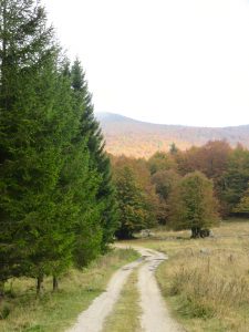 autunno, Piancavallo, Friuli-Venezia Giulia, Pordenone, foliage