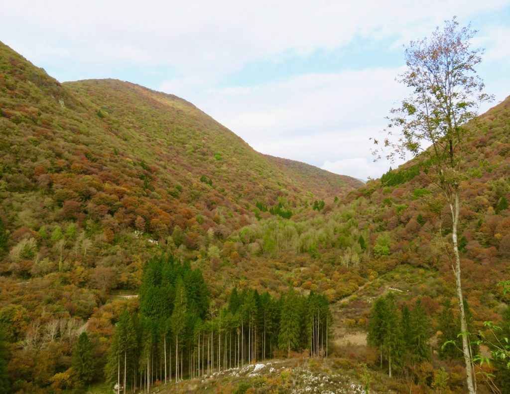 Passiparole, Lisaganis, Ecomuseo delle Dolomiti Friulane, Friuli-Venezia Giulia, Val Meduna, Valinis, foliage Friuli