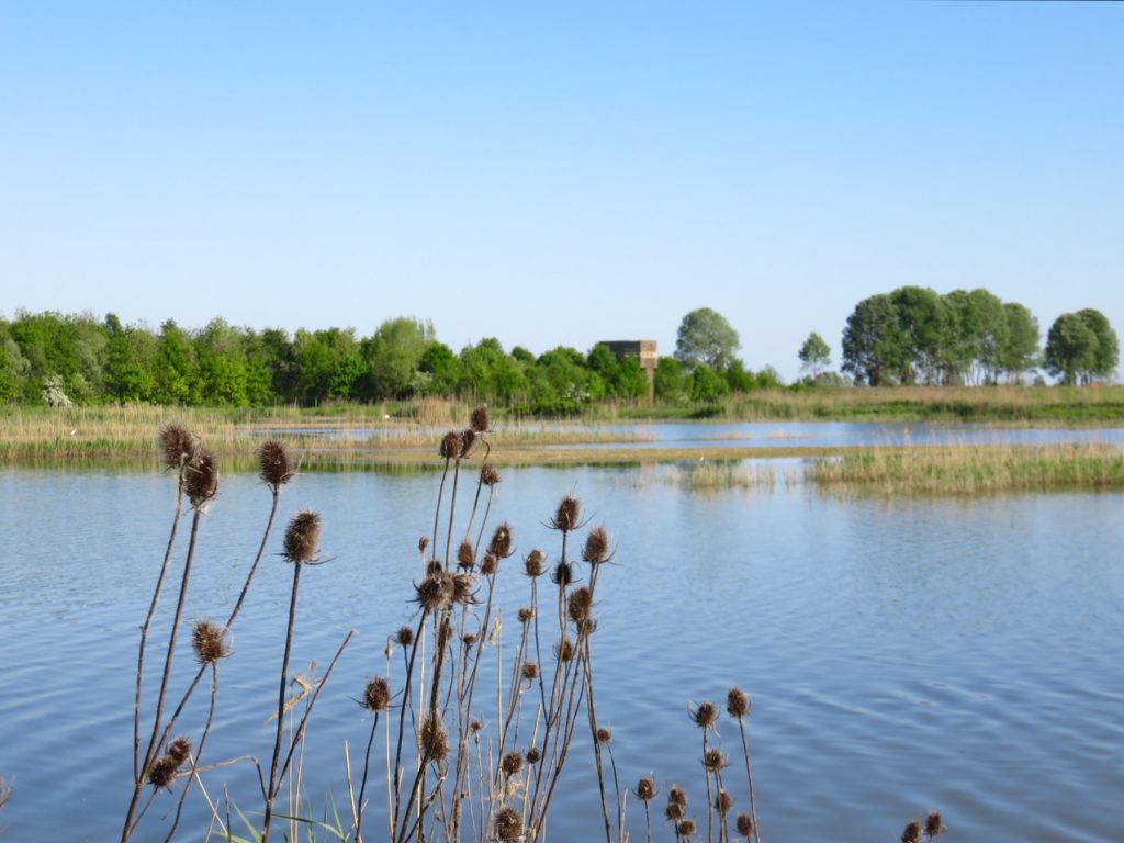 Storydoing, storytelling, Bosco delle Lame, Portogruaro, Caorle, Sindacale, Venezia, Venice