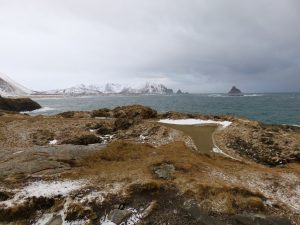 Norvegia del nord, Norvegia, Norway, Nordland, Norge, Andøya, Andenes, National Touristic Route in Andøya