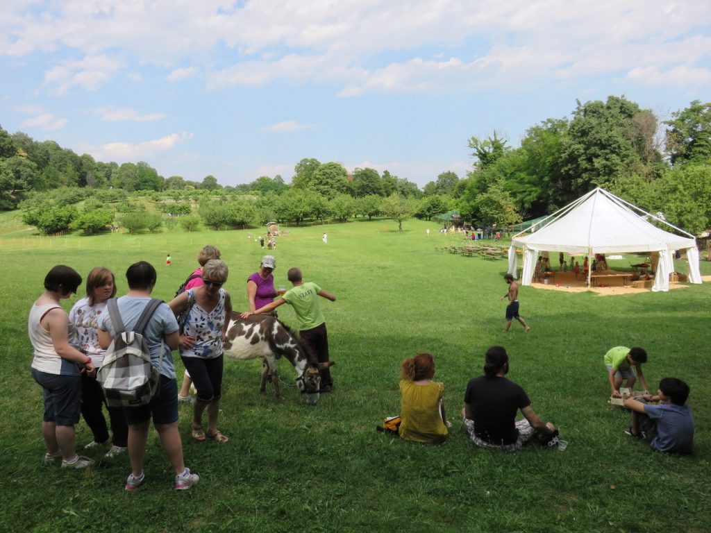 Ciuco Raduno, Parco Rurale San Floriano, Polcenigo, Friuli-Venezia Giulia, donkey, asino, turismo lento, ecoturismo, Compagnia degli Asinell