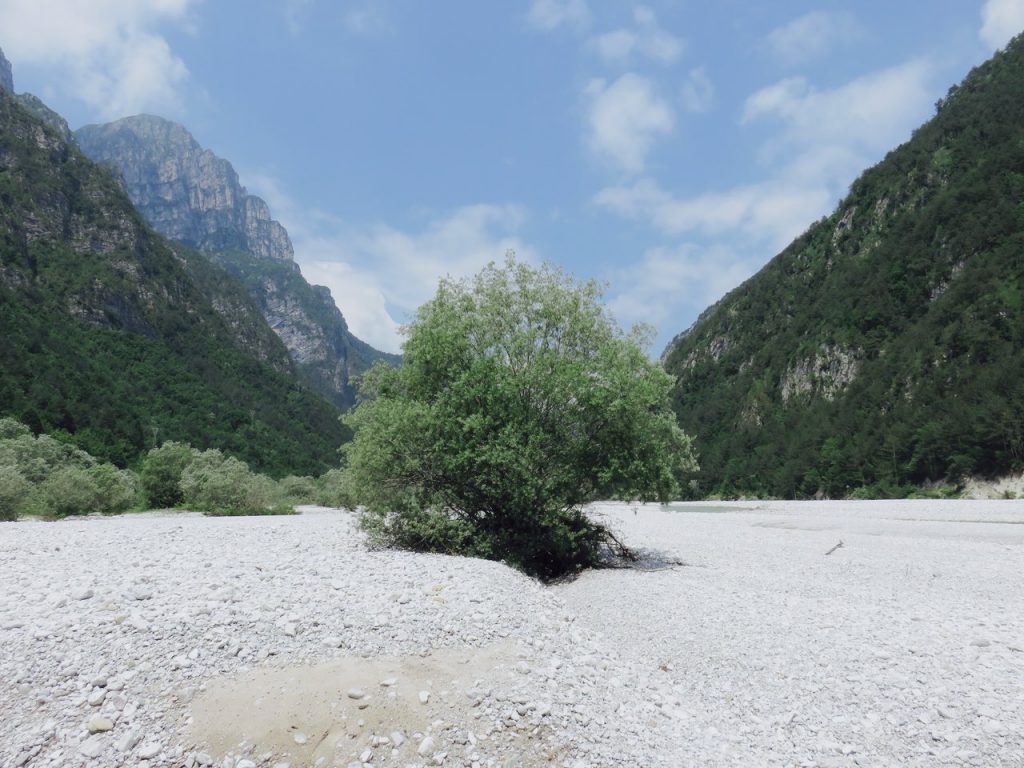  freeuliamo, Friuli-Venezia Giulia, Val Cellina, Dolomiti Friulane, Dolomites, Barcis, Parco Dolomiti Friulane