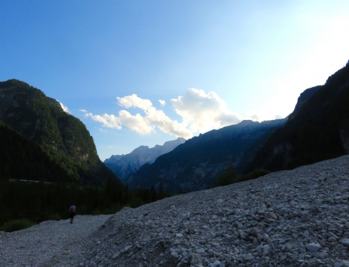 Freeuliamo, un passo assieme in Friuli