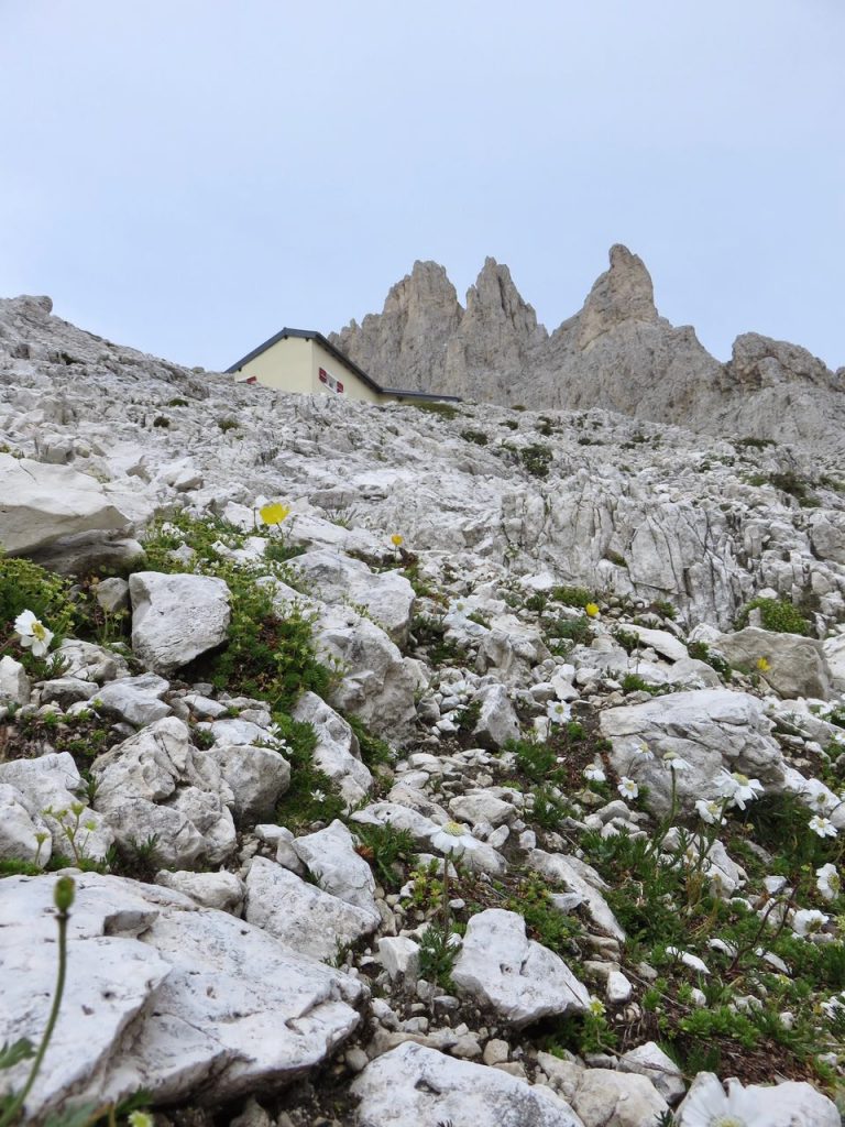 Ecoturismo in Val di Fassa, Val di Fassa, Trentino, Dolomiti, Catinaccio, Rosengarten, Torri del Vajolet, Rigugio Re Alberto