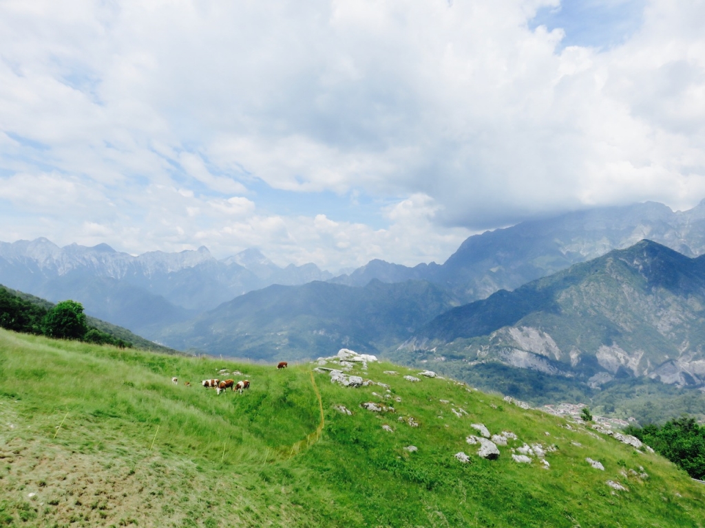 travel mind, Luca Vivan, Marchisoro Hub, Mugello, Andreis, Dolomiti Friulane