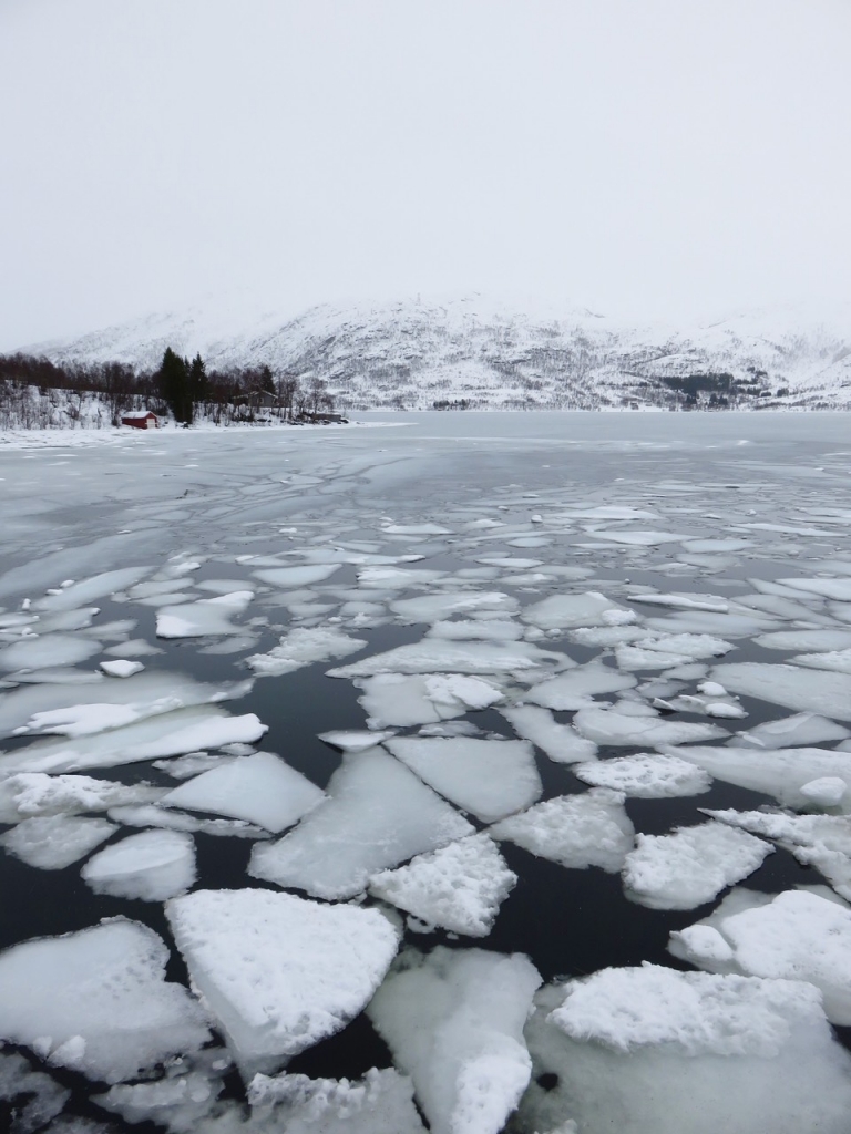 Ecoturismo Norvegia, Norvegia del nord, Norvegia, Norway, Nordland, Norge, Andøya, Andenes