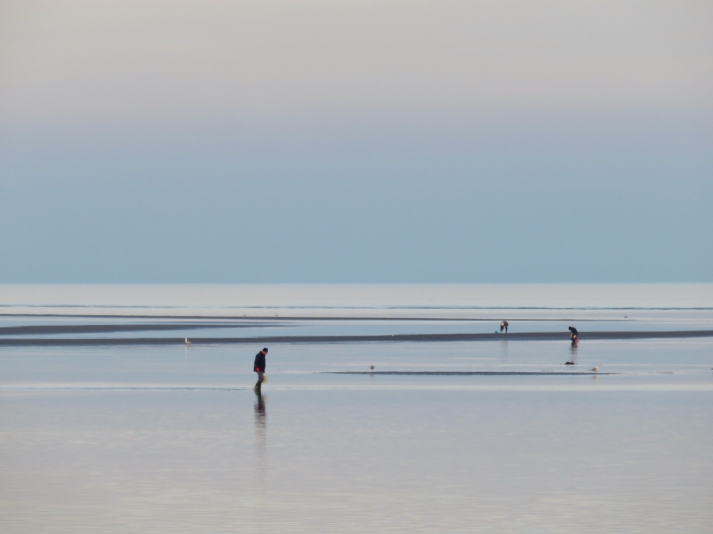 Delta del Po, Rosolina, Rovigo, Veneto, Albarella, Laguna di Caleri, pesca vongole