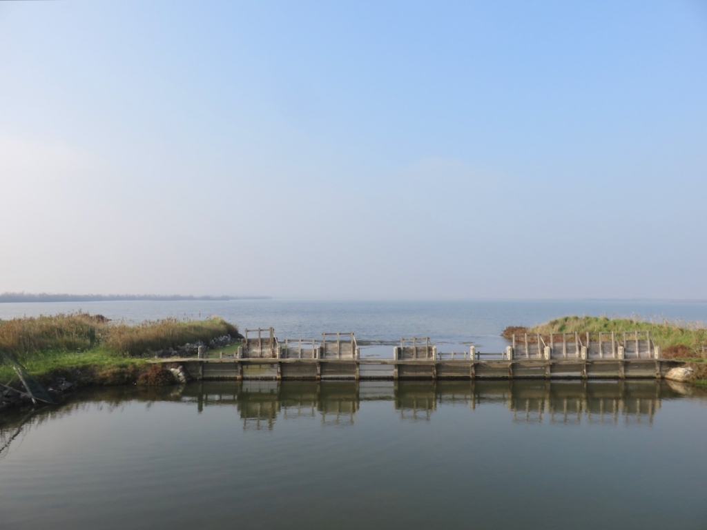 Delta del Po, Rosolina, Rovigo, Veneto, via delle valli Rosolina, valli da pesca delta del po