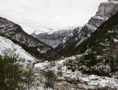 Ogni viaggio ha la sua sosta