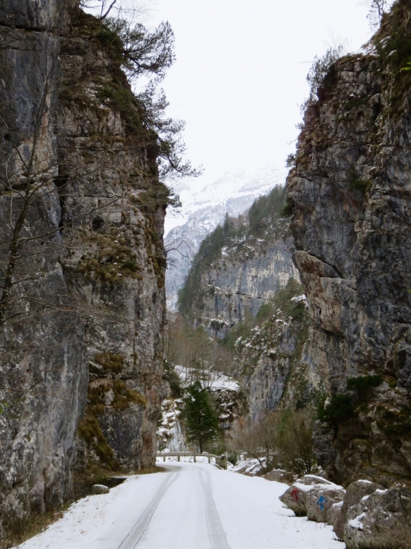 Val Cimoliana, Cimolais, Dolomiti, Dolomiti Friulane, Friuli, Pordenone