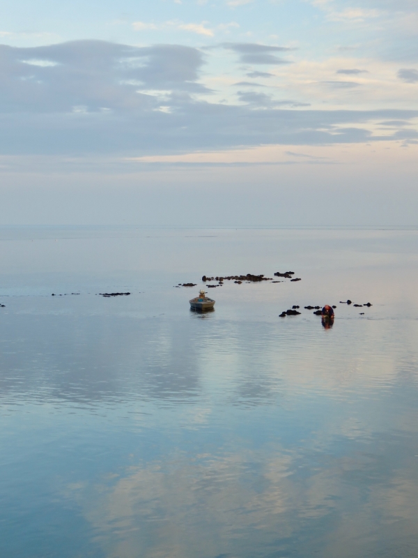 Porto Caleri, Rosolina, Delta del Po, Veneto