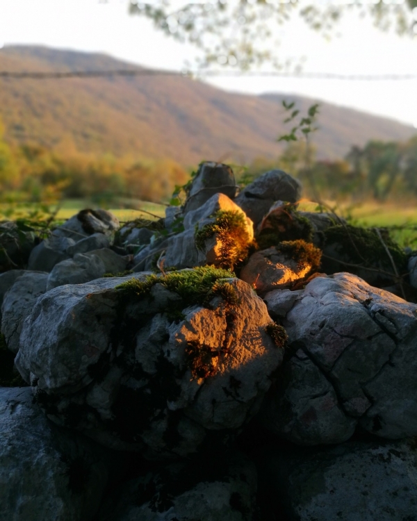 Ruial di Dardago, Pedemontana tra Budoia e Polcenigo, Dardago, Pordenone, Friuli