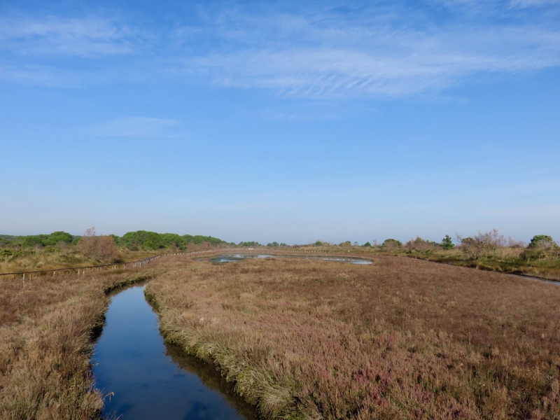 nel Delta del Po, Delta del Po, Rosolina, Porto Caleri