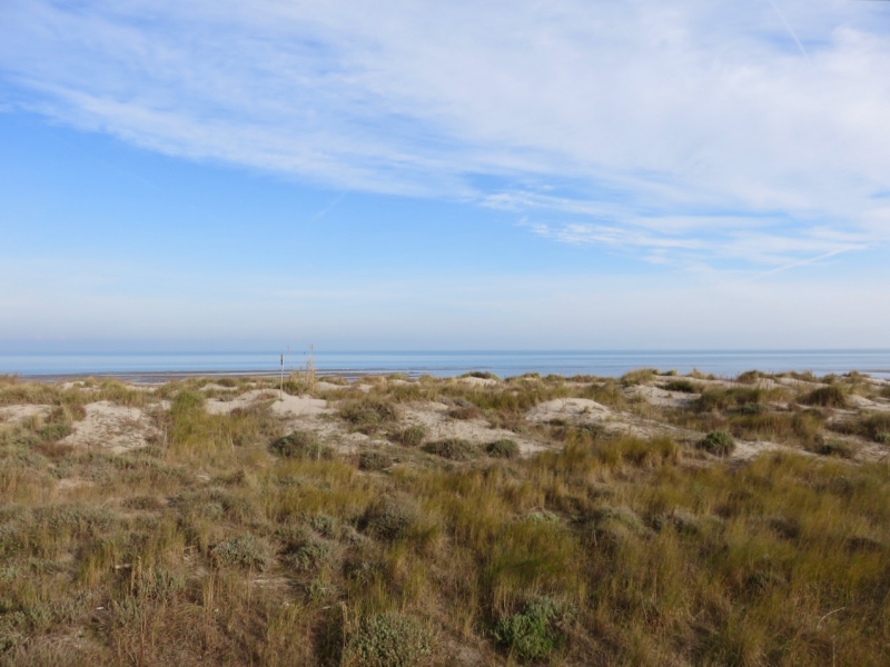 nel Delta del Po, Delta del Po, Rosolina, Porto Caleri, Giardino Botanico Porto Caleri, Adriatico selvaggio