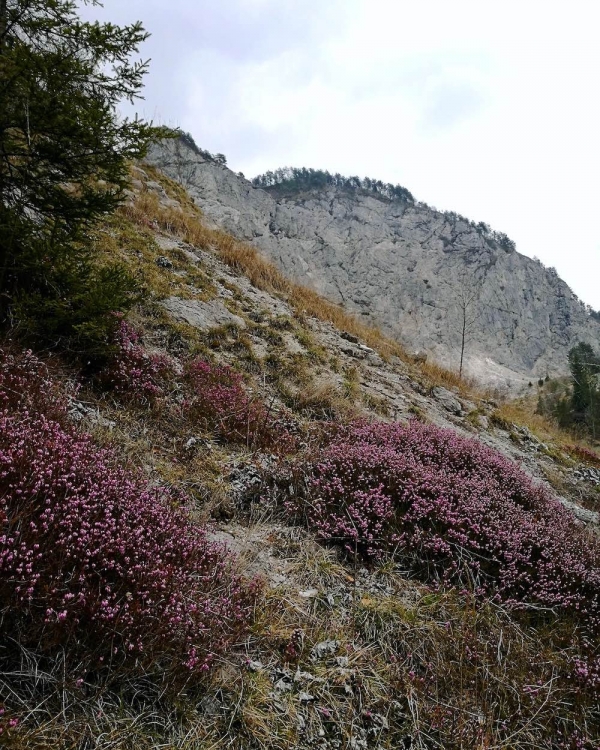 monti del Friuli, Andreis, Freeuliamo, Friuli Venezia Giulia