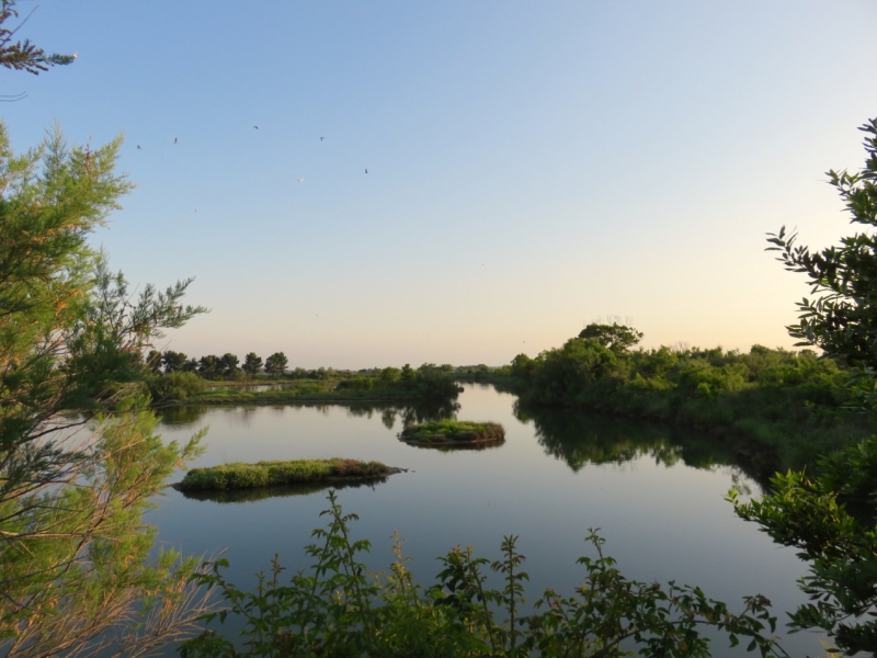 benessere in Friuli, Friuli Venezia Giulia, Grado, Valle del Moro, laguna Grado