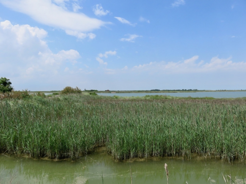 https://www.lucavivan.com/wp-content/uploads/2018/05/insolita-Bibione-Bibione-Veneto-Venezia-slow-tourism-Alto-Adriatico-terzo-bacino-Bibione.jpg