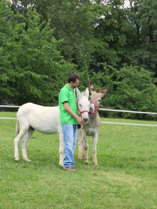 ciucoraduno, parco rurale san floriano, polcenigo, pordenone, amici di totò, asini