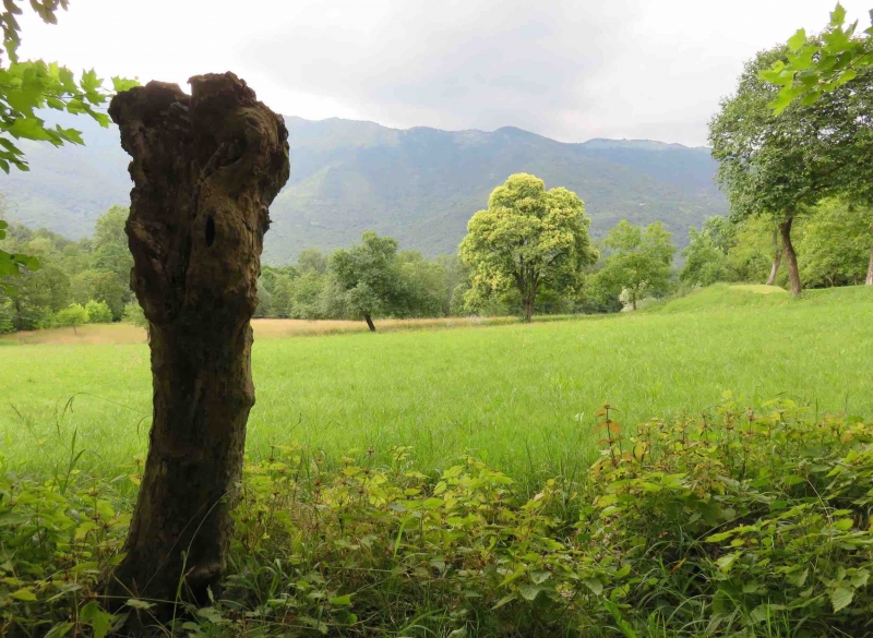  ciucoraduno, parco rurale san floriano, polcenigo, pedemontana pordenone, compagnia degli asinelli