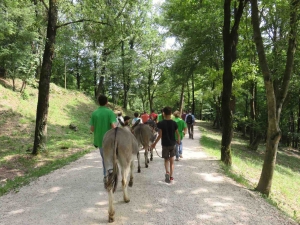 ciucoraduno, parco rurale san floriano, polcenigo, pordenone, asini, trekking asini, turismo slow pordenone