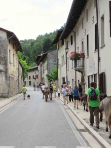 ciucoraduno, parco rurale san floriano, polcenigo, pordenone, trekking asini, turismo slow pordenone, vie Polcenigo, Friuli