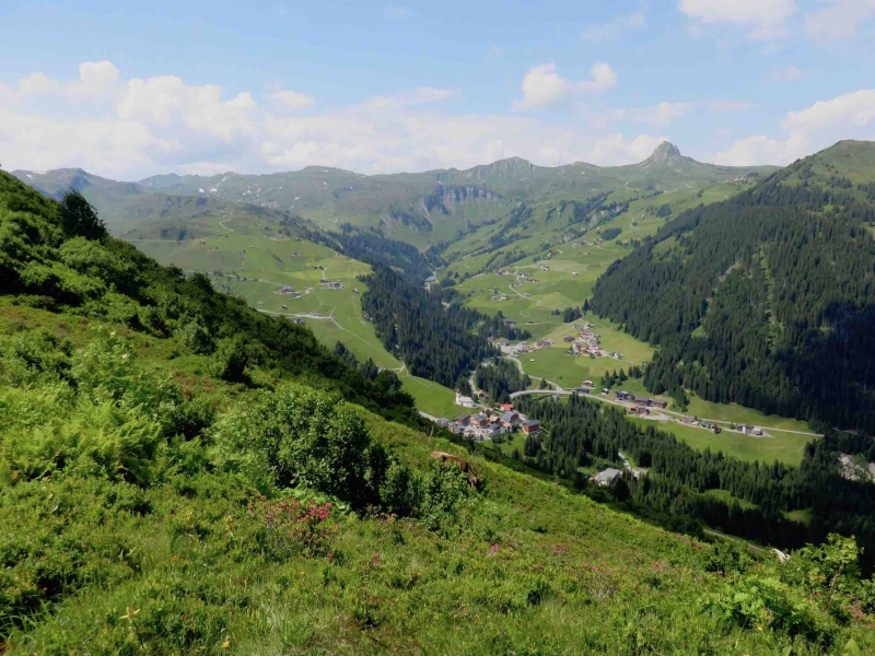 Austria insolita, Vorarlberg, Austria, Grosses Walsertal, Faschina, Biosfera austria.