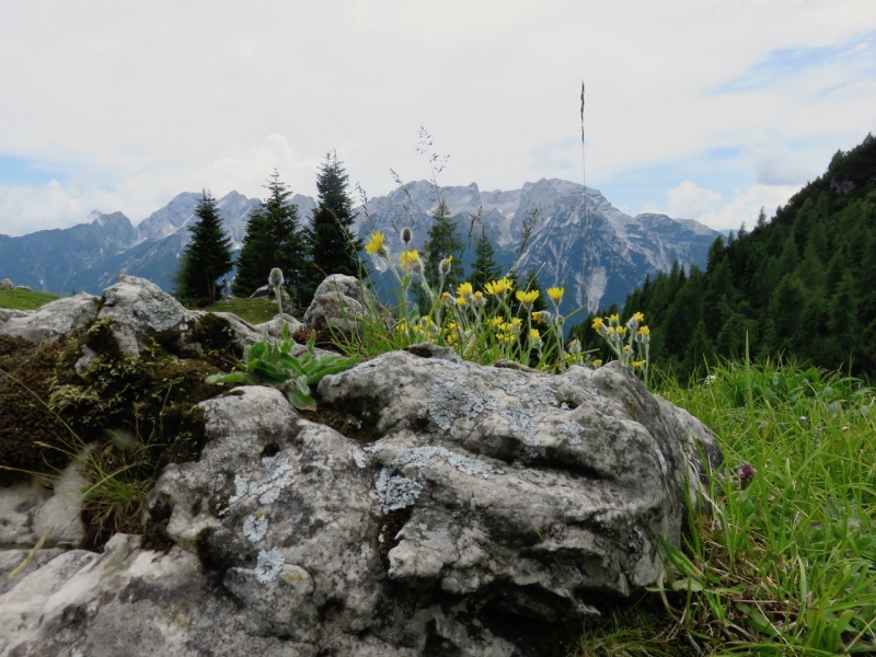  Casera Pramaggiore, Val Settimana, Claut