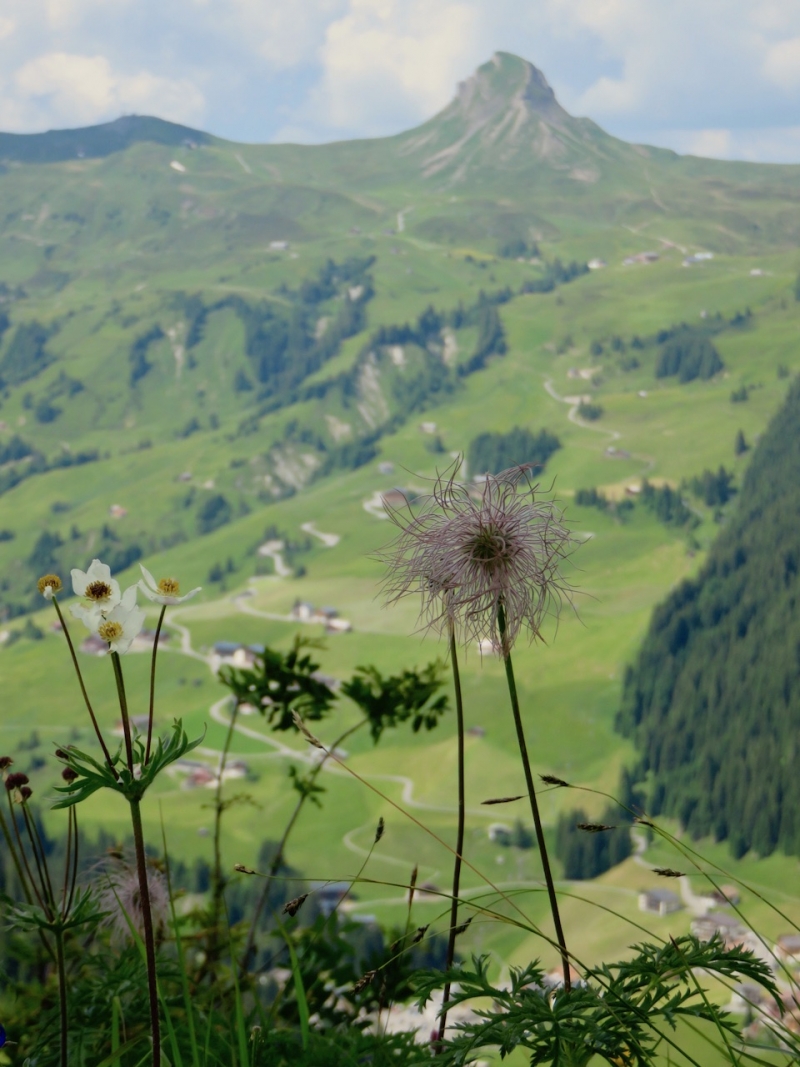  Faschina, Grosses Walsertal, Biosfera Grosses Walsertal, nel Vorarlberg, Vorarlberg, Austria