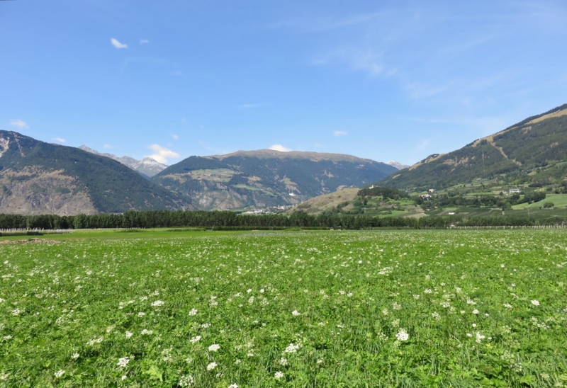 Val Venosta, Sluderno, Vinschgau, Sud Tirolo, Alto Adige, festa medievale trentino alto adige, cosa fare val venosta