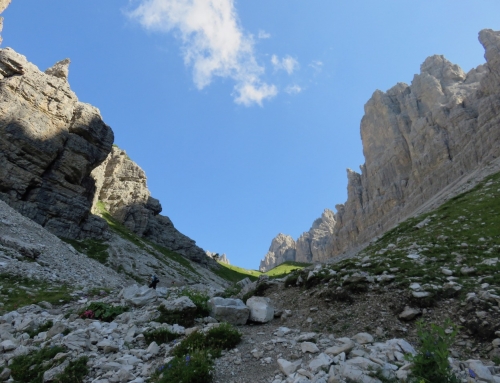 Forse non tutti sanno che in Friuli…