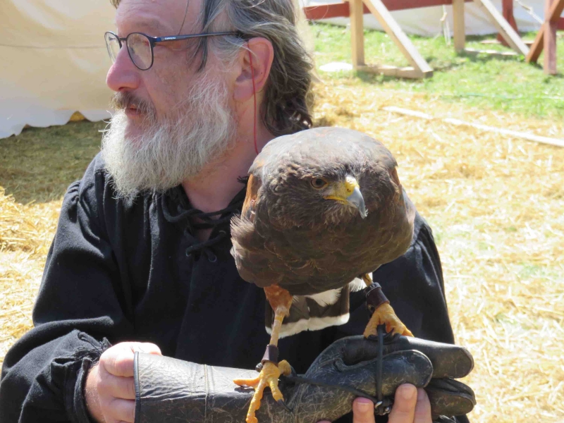  Ritterspiele, Sluderno, festa medievale, Sluderno, val Venosta, Sud Tirolo, Alto Adige, giochi cavallereschi, poiana americana, falconiere