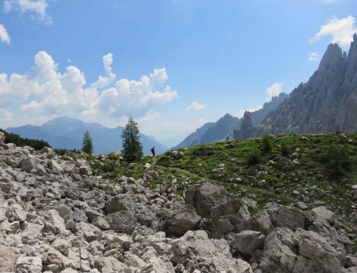 Pensare come le montagne, proseguo il cammino e la scrittura tra le Dolomiti