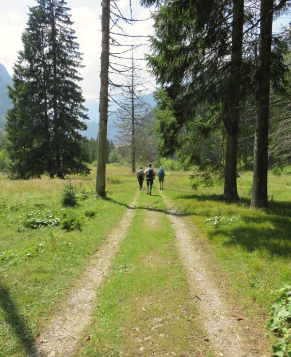  val cimoliana, dolomiti friulane, Friuli venezia Giulia